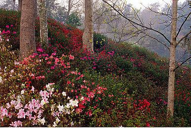 超自然潜行动作恐怖游戏《Wonhon: A Vengeful Spirit》于今日登陆PC